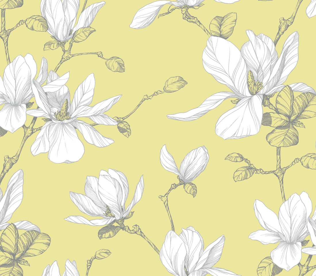 Magnolia